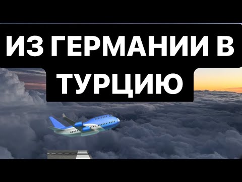 Видео: ИЗ ГЕРМАНИИ В ТУРЦИЮ✈️ #германия #турция #чихуахуавтурции #жизньвгермании #отдых