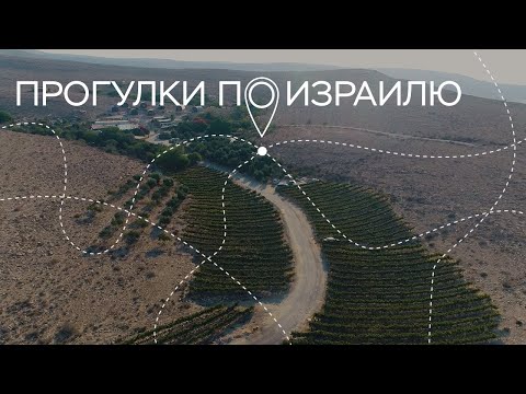 Видео: Исчезнувший город, интервью с Мариной Концевой и виноделие в пустыне / Прогулки по Израилю