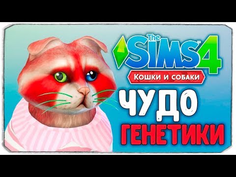 Видео: ЧУДО ГЕНЕТИКИ, ЕНОТИКИ - The Sims 4 "Кошки и Собаки"