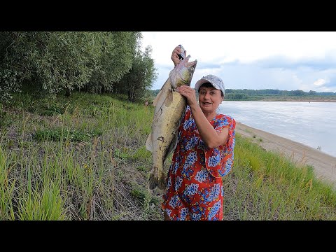 Видео: Накосили СУДАКОВ, закоптили Рыбы и на ГРИБЫ ещё нарвались!