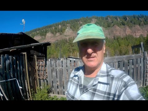 Видео: Готовим кабачковую икру, угощение от Насти и Лёши