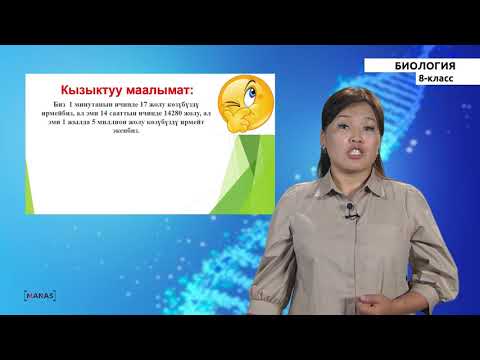 Видео: 8-класс |  Биология |  Кабыл алуу жана жүрүш-туруш.