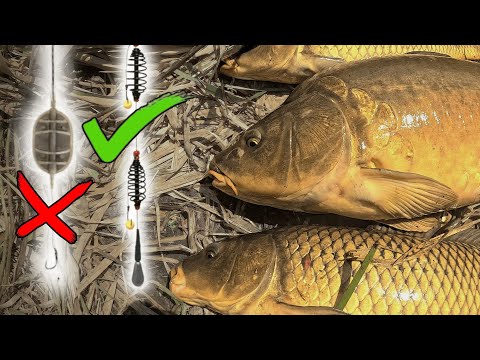 Видео: ПОЯСНЮЮ ЧОМУ ПРУЖИНА ЛОВИТЬ КРАЩЕ НІЖ ФЛЕТ. 11 кг змусив стрибнути у воду…
