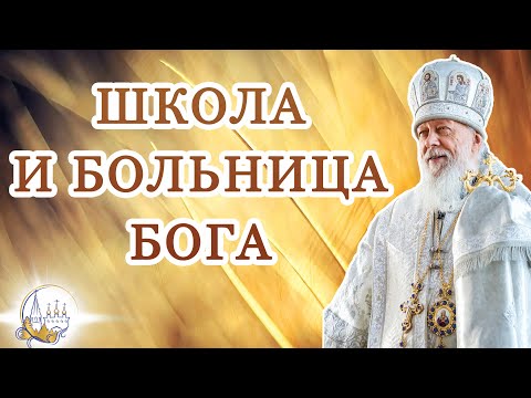 Видео: Школа и Больница Бога