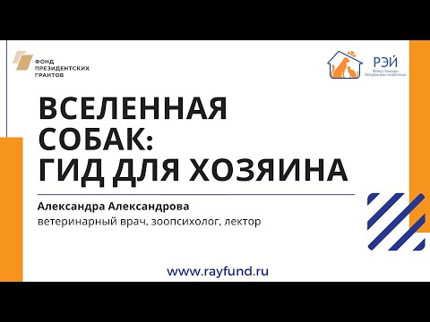 Видео: Вселенная собак: гид для хозяина. Лекция Александры Александровой