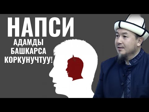 Видео: НАПСИ АДАМДЫ БАШКАРСА КОРКУНУЧТУУ!!!