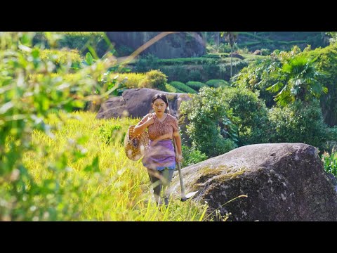 Видео: В памяти прячется пухлая рисовая рыбка. Вы будете скучать по нему, куда бы вы ни пошли.【Шэнь Дань】