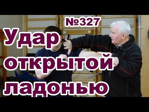 Видео: Отработка ударов открытой ладонью.