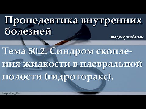 Видео: Тема 50.2. Синдром скопления жидкости в плевральной полости (гидроторакс).