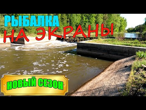 Видео: Рыбалка на экраны открыта!!! Новый сезон. Сколько рыбы словим?