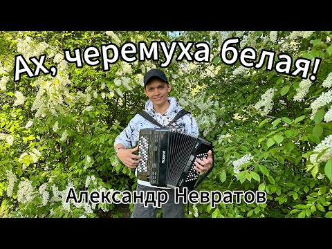 Видео: КАКОЙ ГОЛОС! МУРАШКИ ПО КОЖЕ! Ах, черемуха белая. Исп. Александр Невратов.