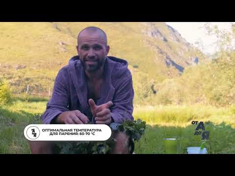 Видео: Лайфхаки для бани