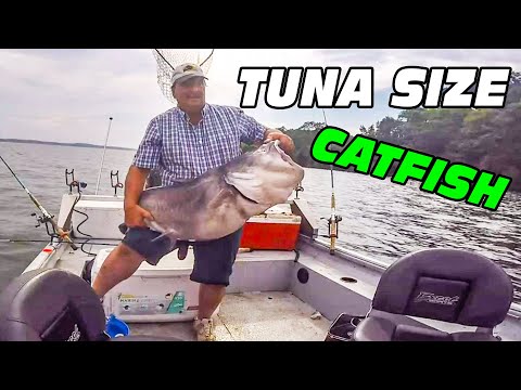 Видео: Я поймал самого большого сома в озере. За кадром (потерянные кадры)