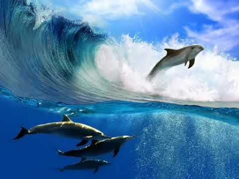 Видео: Виталик Николаев, великий солист БДХ. "ТЫ СЛЫШИШЬ,  МОРЕ?"