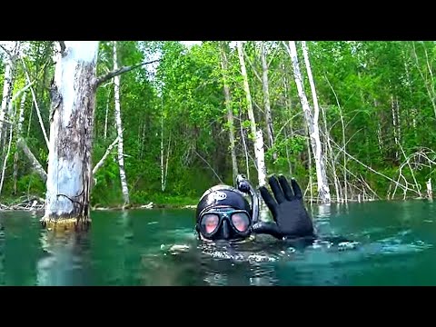 Видео: Тайга под водой! Открыли сезон подводной охоты!
