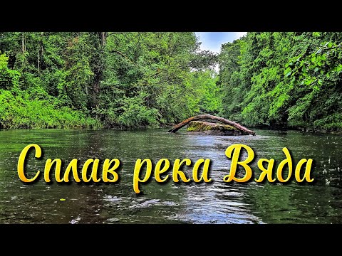 Видео: Сплав река Вяда Июнь 2025г