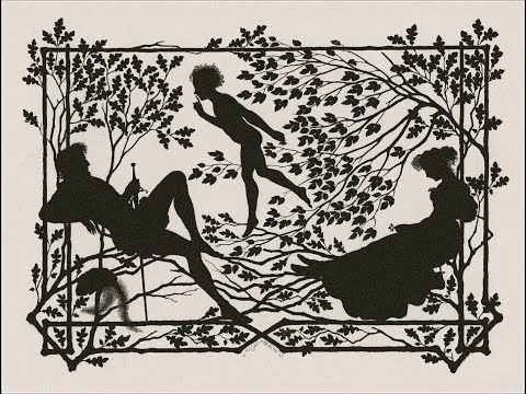 Видео: Прелестное искусство силуэта