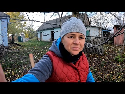 Видео: 🟥 Мій бізнес в селі на саджанцях малини 🌱