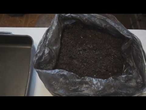 Видео: Как обработать грунт в духовке для рассады