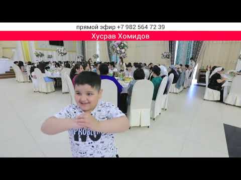 Видео: прямой эфир +7 982 564 72 39