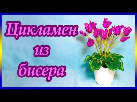 Видео: Цикламен из бисера. Мастер-класс.