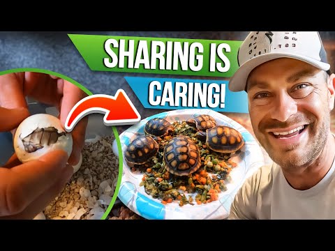 Видео: Мои советы по уходу за детьми с дефектами!