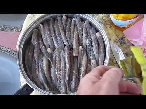 Видео: ШКАРА  классическая