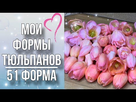 Видео: Мои формы тюльпанов/Обзор/Заливка и тонировка/Мыловарение
