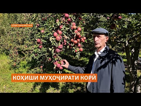 Видео: "Замину об ва заҳматамон моро аз мардикориву ғарибӣ раҳо кардааст"