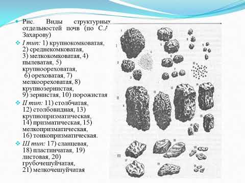 Видео: Морфологические признаки почвоведение