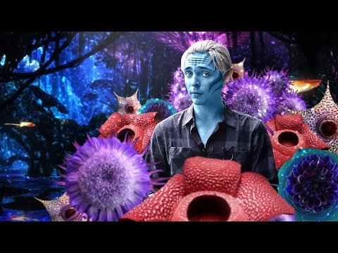 Видео: Цветы иных миров | TrashSmash