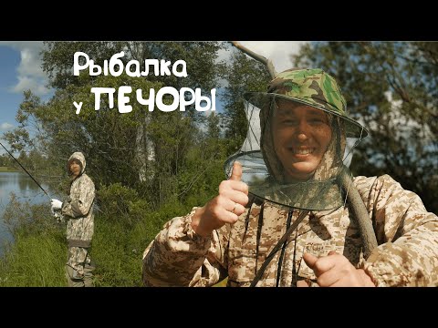 Видео: Коми РЫБАЛКА | На озере реки ПЕЧОРА | ГАРМОНИСТ ДОВОЛЕН!