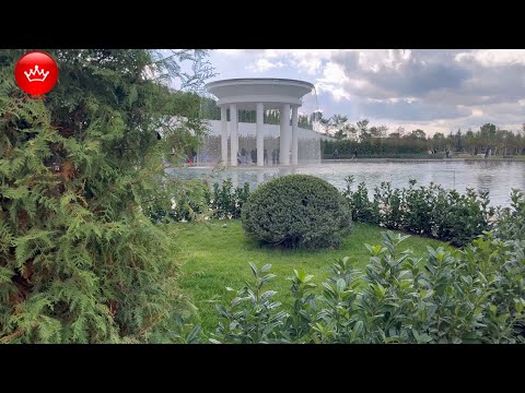 Видео: Парк Галицкого краски осени 2025 