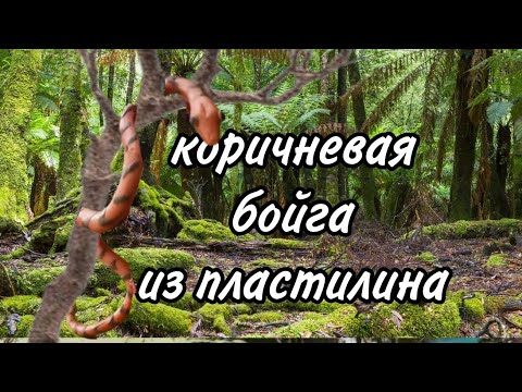 Видео: Лепим коричневую древесную бойгу (видео 26)