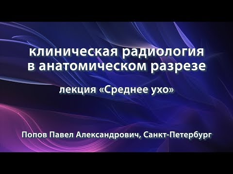 Видео: Попов П.А. – лекция «Среднее ухо»