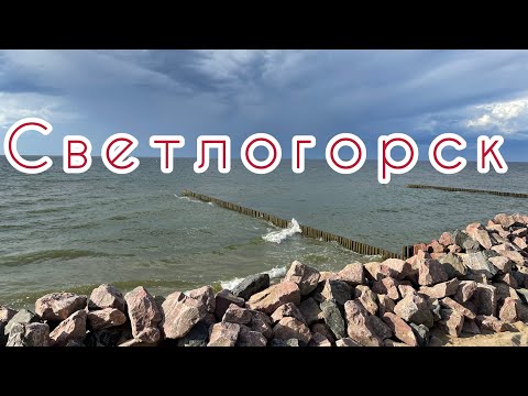 Видео: Светлогорск 4 августа 2023 г. Переезд в Калининград #калининград #море #светлогорск #переезд