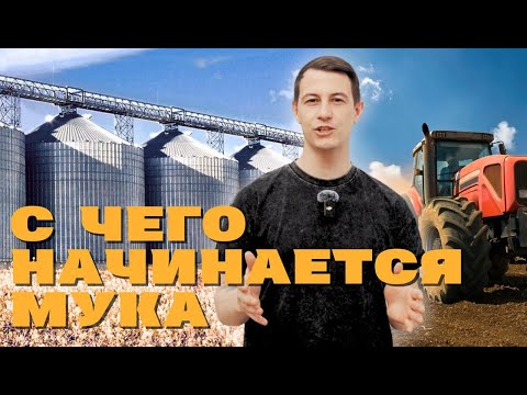 Видео: Секретный ингредиент качественной муки