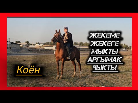 Видео: Жеребец Койон, выступавший в Высшей лиге, выставлен на продажу.