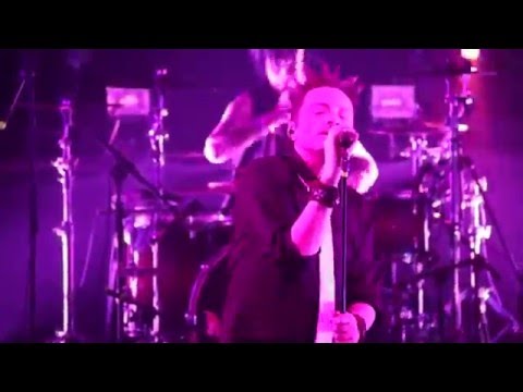 Видео: The MATRIXX – Свиньи на луне (Минск, 05.12.2015)