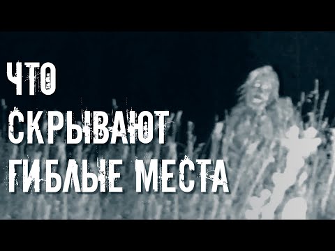 Видео: Кто Такие ЧЕПЫШИ и Другие Лесные КРИПТИДЫ