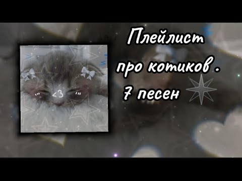 Видео: плейлист про котиков #7 песен #котики#песни