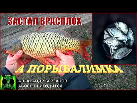 Видео: А порыбалимка 5/21г. Застал врасплох.