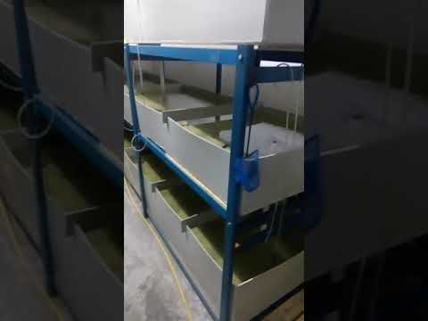 Видео: 1  Обзор фермы АККР, креветка Розенберга