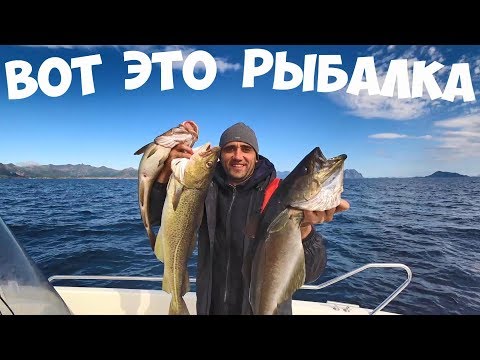 Видео: Рыбалка в океане на спиннинг в Норвегии. Жарю филе люра.