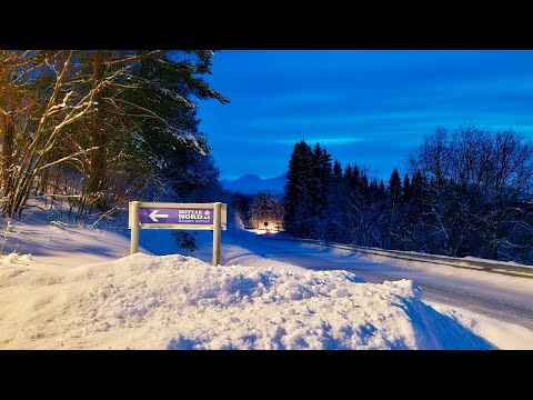 Видео: Заполярье.  Шёл второй месяц в муттаке 😊