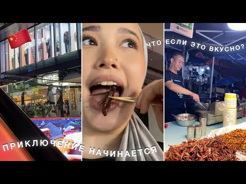 Видео: Париж в Китае? Да! И саранча на закуску!🦗🍜🇨🇳