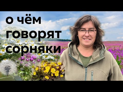 Видео: Растения пионеры и рудералы или о чём говорят сорняки.