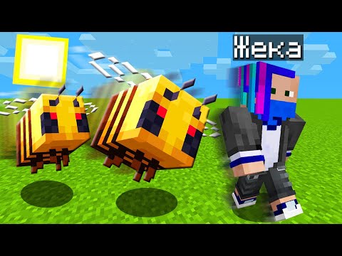 Видео: ЗАТРОЛЛИЛ ЖЕКУ ЗЛЫМИ ПЧЁЛАМИ В МАЙНКРАФТ!