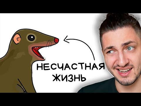 Видео: Ты -- Тупайа (И ЭТО ПОЛНЫЙ ОТСТОЙ) - реакция Градуса