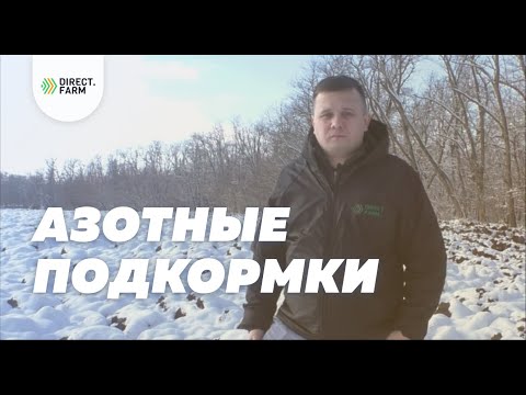 Видео: Какое азотное удобрение выбрать для подкормки озимых?